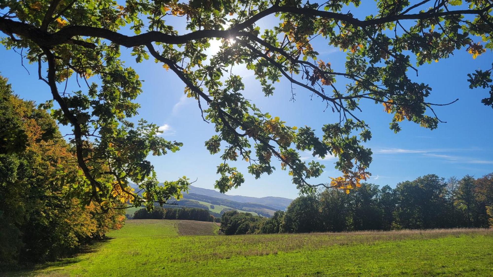 Im Alten Rathaus Bad Liebenstein Exteriör bild